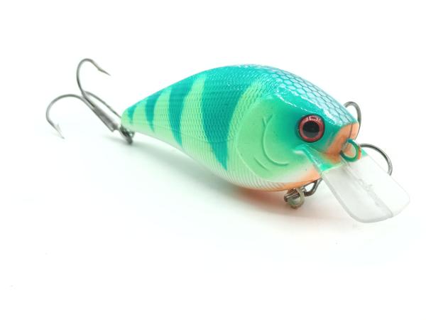 Angry Perch